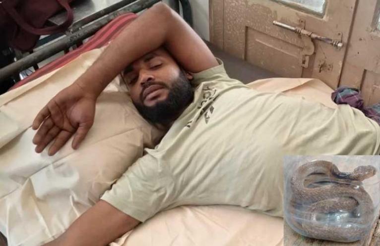 কামড় দেওয়া জীবিত সাপ নিয়েই হাসপাতালে যুবক