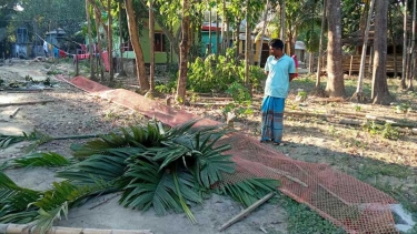 সরিষাবাড়ীতে দলীয় প্রভাব খাটিয়ে প্রতিবেশীর ওপর তাণ্ডব, এলাকাবাসী ক্ষুব্ধ