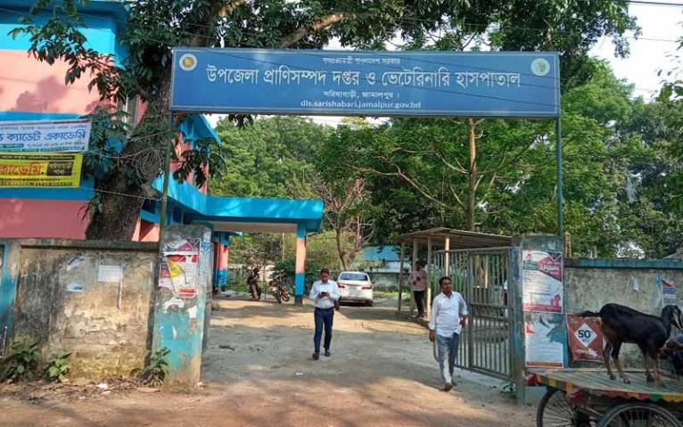 চিকিৎসা করাতে এসে ছাগল হারালেন কৃষক, হাসপাতাল চত্বরেই চুরির অভিযোগ