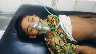 ​সরিষাবাড়ীতে গলায় লিচু বিচি আটকে শিশুর মর্মান্তিক মৃত্যু