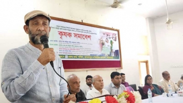 কৃষকদের উন্নয়নে কাজ করছে সরকার - শামীম তালুকদার