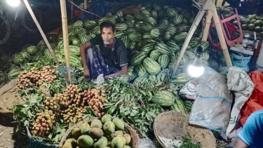 ফরিদপুরে বাজারে দেশীয় মৌসুমি ফলের সরবরাহ বেড়েছে