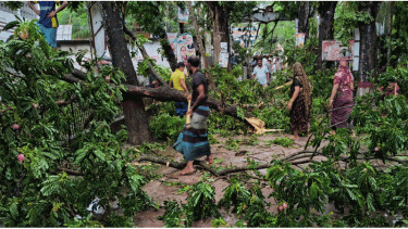 সদরপুরে কালবৈশাখী ঝড়ের ব্যাপক তান্ডব  গাছপালা ঘরবাড়ি বিধস্ত