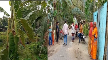 কলা গাছের ডাটা কাটাকে কেন্দ্র করে সরিষাবাড়ীতে রক্তক্ষয়ী সংঘর্ষ, নারীসহ আহত ৫