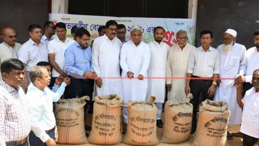 তারেক রহমানের নেতৃত্বাধীন বর্তমান সরকার কৃষকবান্ধব : বিদ্যুৎ প্রতিমন্ত্রী
