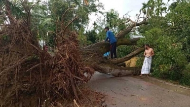 সরিষাবাড়ীতে কালবৈশাখীর তাণ্ডব, লণ্ডভণ্ড জনপদ, আহত ৫