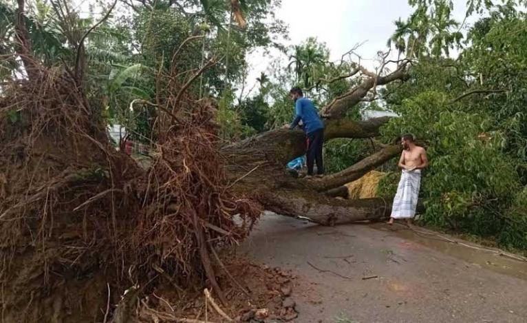 সরিষাবাড়ীতে কালবৈশাখীর তাণ্ডব, লণ্ডভণ্ড জনপদ, আহত ৫