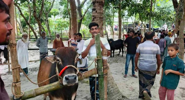 আলফাডাঙ্গার ভাটপাড়া  গরু-ছাগলের হাঁকডাকে জমে উঠেছে গ্রামবাংলার প্রাণের পশুর হাট