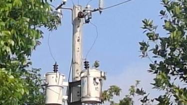 কালবৈশাখে ঝড়ের কারণে বিদ্যুৎ নাই সদরপুরে বাড়ছে চুরি ছিনতাই