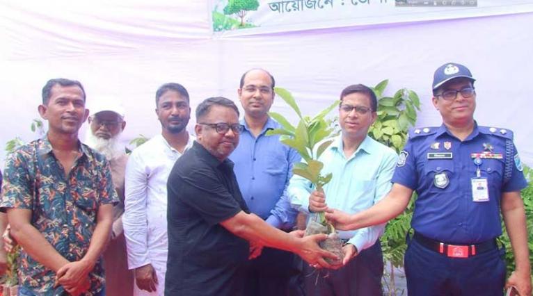 বিশ্ব পরিবেশ দিবসে নারায়ণগঞ্জে ১০ হাজার বৃক্ষের চারা বিতরণ: ২৫ কোটি বৃক্ষরোপণ কর্মসূচির অংশ