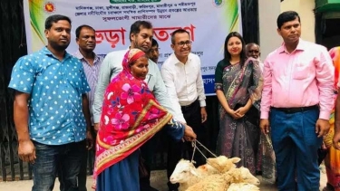 ফরিদপুর সুফলভোগী খামারিদের মাঝে ভেড়া বিতরণ