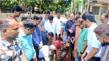 প্রধানমন্ত্রী তারেক রহমানের নির্দেশনায় মধুখালীতে বৃক্ষরোপণ ও চারা বিতরণ