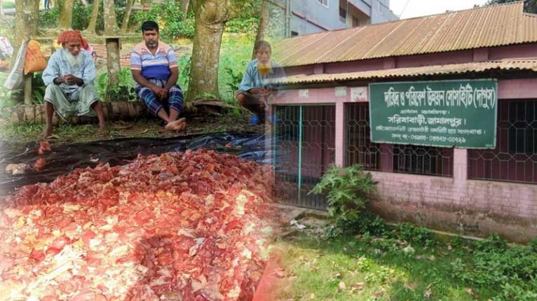 ​সরিষাবাড়ীতে কোরবানির মাংস বিতরণে ‘দাপুস’ এনজিওর অনিয়ম ও অর্থ আদায়ের অভিযোগ