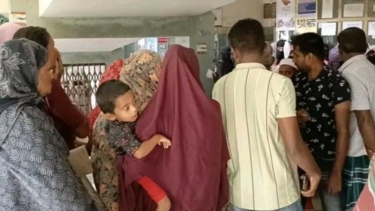 আম গাছ থেকে পড়ে দুই সন্তানের জননীর মৃত্যু