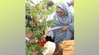 ফরিদপুরে বৃক্ষরোপণ ও ২টি সলিং রাস্তার উদ্বোধন করলেন নায়াব ইউসুফ