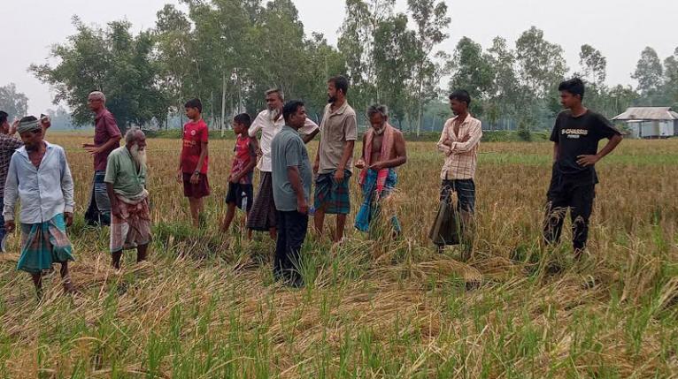সরিষাবাড়ীতে জামিনে মুক্ত হয়েই বাদীকে প্রাণনাশের হুমকি