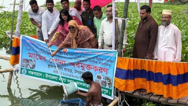টিটা  ভাসমান সেতু বাওড়ের জলে নতুন প্রাণের স্পন্দন, অবমুক্ত ৬৮০ কেজি দেশীয় মাছের পোনা