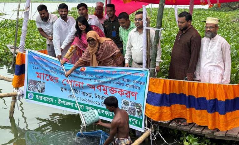 টিটা  ভাসমান সেতু বাওড়ের জলে নতুন প্রাণের স্পন্দন, অবমুক্ত ৬৮০ কেজি দেশীয় মাছের পোনা