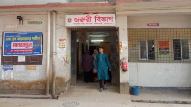 সরিষাবাড়ীতে ধুতুরা পাতা খেয়ে এনডিপির ৬ কর্মী অসুস্থ