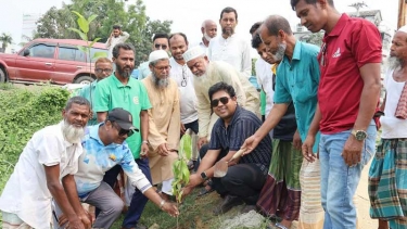 নাটোরে মাসব্যাপী বৃক্ষরোপণ কর্মসূচি শুরু