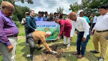 ফরিদপুর রাজেন্দ্র কলেজে বৃক্ষরোপণ কর্মসূচির উদ্বোধন জেলা প্রশাসকের