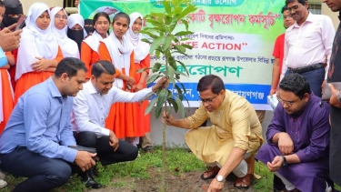 রূপগঞ্জে ‘৫ বছরে ২৫ কোটি বৃক্ষরোপণ’ কর্মসূচির আওতায় ফলজ গাছ রোপণ করলেন ডিসি
