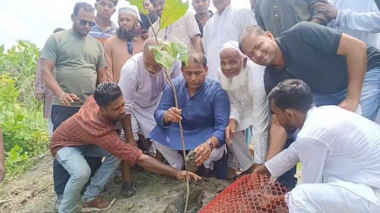 মাদারীপুরের ডাসারে বৃক্ষরোপণ কর্মসূচি উদ্বোধন