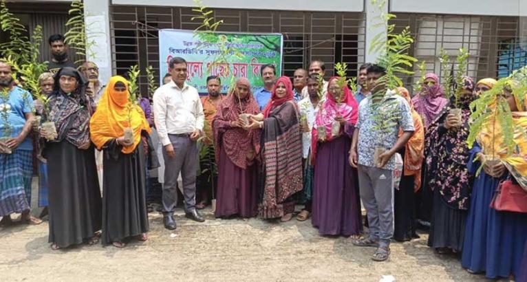 মধুখালীতে বিআরডিবির উদ্যোগে ৫ শতাধিক সদস্যের মাঝে বিনামূল্যে গাছের চারা বিতরণ
