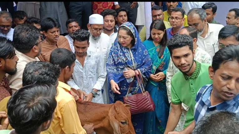 ফরিদপুরে সুবিধাবঞ্চিত জনগোষ্ঠীর মাঝে ১৫৬টি গরু বিতরণ করছে নারী উন্নয়ন ফোরাম