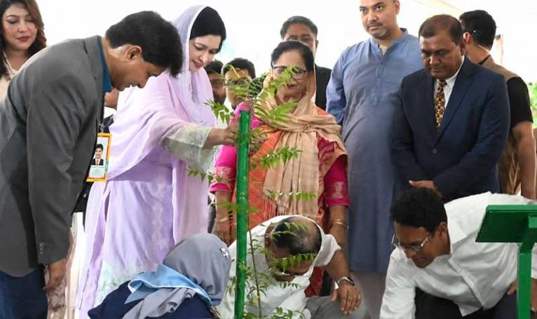 শিক্ষাপ্রতিষ্ঠানে বৃক্ষরোপণ কর্মসূচির উদ্বোধন করলেন প্রধানমন্ত্রী
