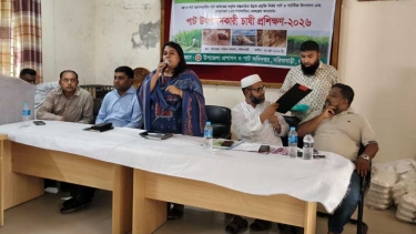 সরিষাবাড়ীতে উন্নত প্রযুক্তিতে পাট চাষে চাষী প্রশিক্ষণ কর্মশালা অনুষ্ঠিত
