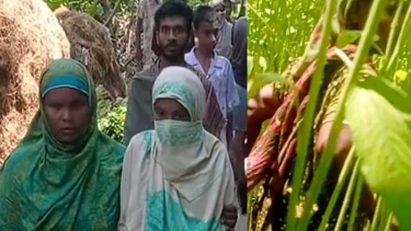 বোয়ালমারীতে ধর্ষক মুকুল শেখ ৪ দিনেও গ্রেপ্তার হয়নি