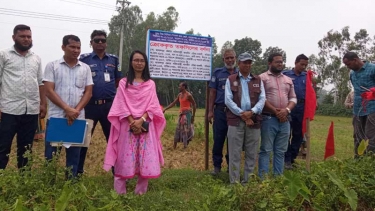 মাদকসম্রাট মিন্টুর সম্পত্তি ক্রোক: সরিষাবাড়ীতে প্রশাসনের সাইনবোর্ড