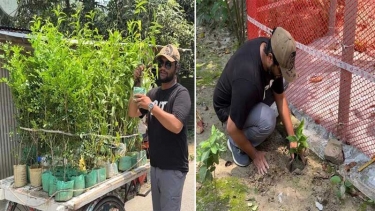 কবরের ফুলগাছ চুরি, পুরো গ্রামে ফুল গাছ লাগিয়ে চোরকে অভিনব জবাব যুবকের