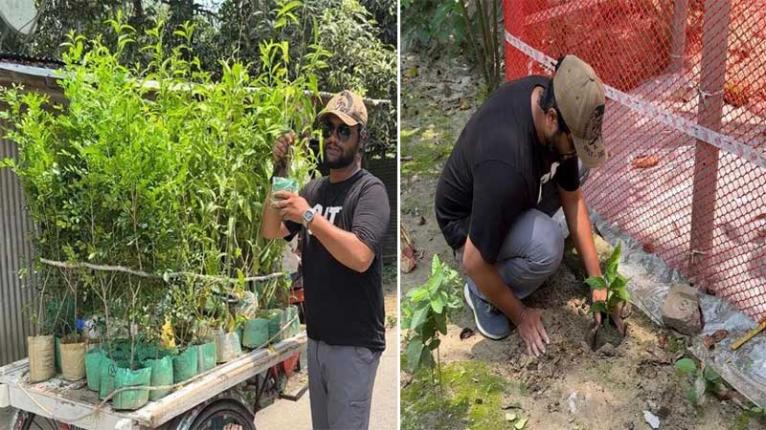 কবরের ফুলগাছ চুরি, পুরো গ্রামে ফুল গাছ লাগিয়ে চোরকে অভিনব জবাব যুবকের
