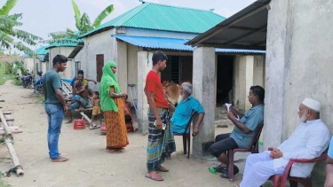 পাটক্ষেতে গরু ঢোকা নিয়ে সংঘর্ষ, নারীসহ আহত ৫