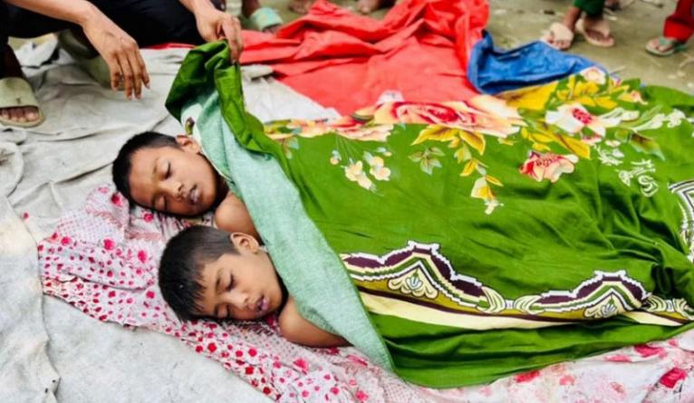 আড়াইহাজারে পুকুরে গোসল করতে গিয়ে ২ ভাইয়ের মৃত্যু