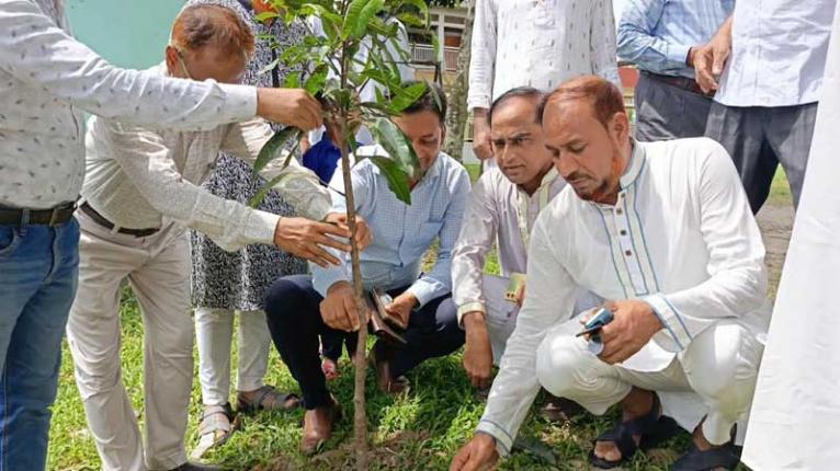 সালথায় সরকারি প্রাথমিক বিদ্যালয়ে বৃক্ষরোপণ কর্মসূচির উদ্বোধন