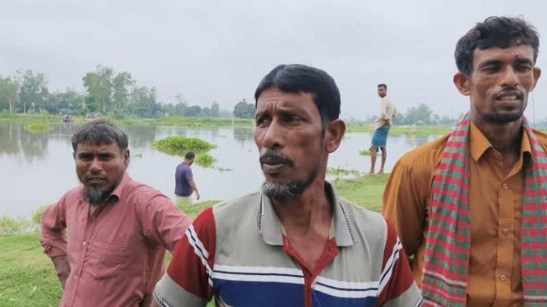 যমুনার স্রোতে ভেসে গেল শত শত পাটের জাগ, সরিষাবাড়ীতে ৪ শতাধিক কৃষক দিশেহারা