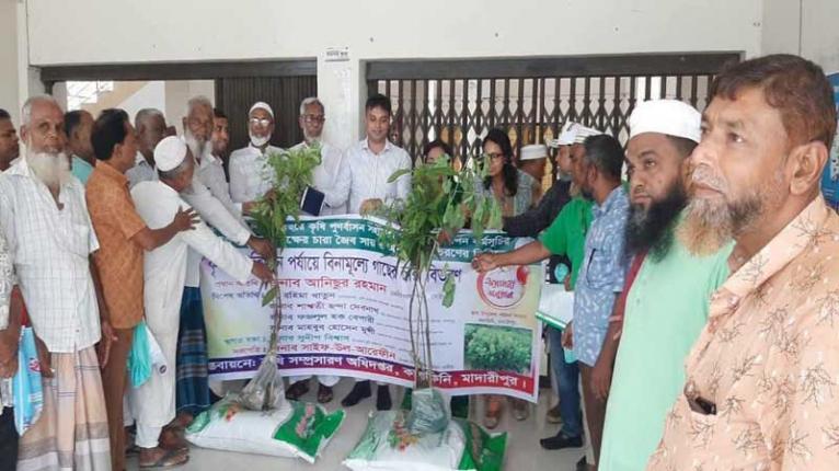 কালকিনিতে কৃষি পুনর্বাসন কর্মসূচিতে বিনামূল্যে চারা ও জৈব সার বিতরণ