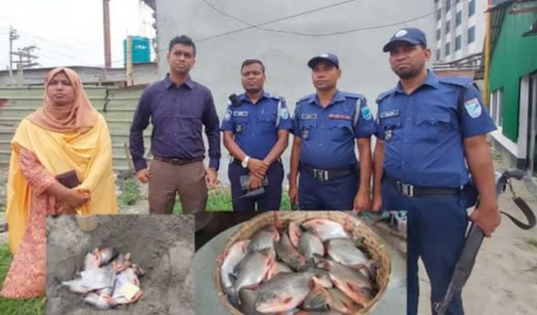 সোনারগাঁয়ে ২৫ কেজি নিষিদ্ধ পিরানহা মাছ জব্দ
