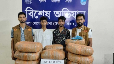 আশুলিয়ায় ৪২ কেজি গাঁজাসহ দুই মাদক কারবারি গ্রেফতার