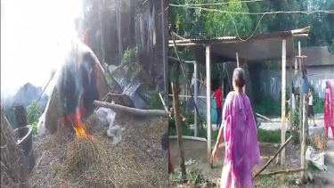 সরিষাবাড়ীতে বিএনপি নেতার খামারে হামলা ও অগ্নিসংযোগ, আহত ৪