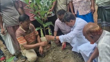 মাদারীপুরে বৃক্ষরোপণ কর্মসূচির উদ্বোধন