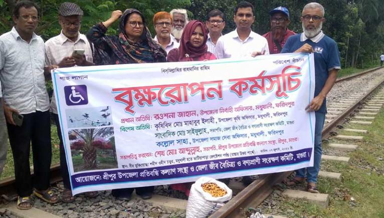 মধুখালী-ভাটিয়াপাড়া রেলপথের দুই পাশে খেজুরের বীজ রোপণ