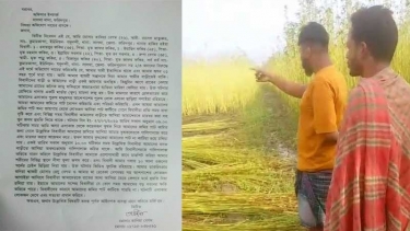 সালথায় হত্যা মামলার পর গ্রামে নতুন সংকট, পাট কাটতে বাধা ও প্রাণনাশের হুমকির অভিযোগ
