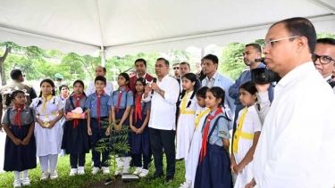দেশটাকে আরও সবুজ করে গড়ে তুলতে হবে : প্রধানমন্ত্রী