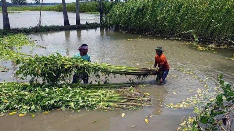 আলফাডাঙ্গায় পুনঃখননে প্রাণ ফিরে পেল খাল, কৃষকের মুখে স্বস্তির হাসি