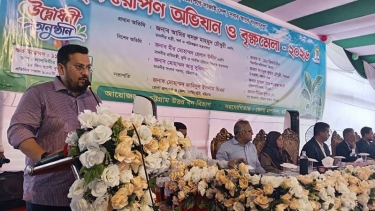প্রতিটি নাগরিককে নিজ উদ্যোগে বৃক্ষরোপণ কর্মসূচি বাস্তবায়নের আহ্বান পার্বত্য চট্টগ্রাম বিষয়ক প্রতিমন্ত্রীর