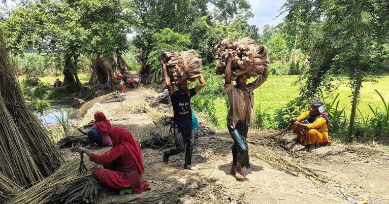 মধুখালীতে পাট জাগ দেওয়া ও আঁশ ছাড়ানোয় ব্যস্ত কৃষক